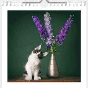 Kalender