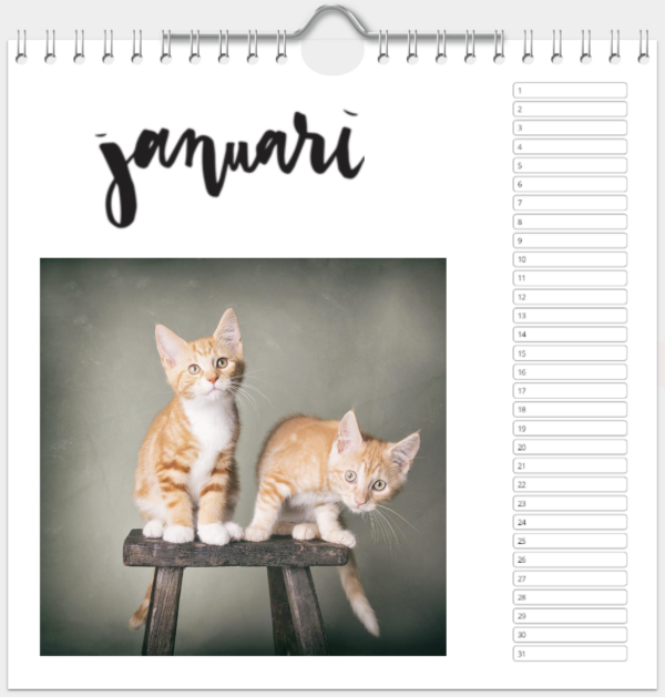 Kalender - Afbeelding 2