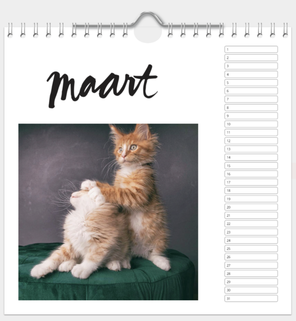 Kalender - Afbeelding 4