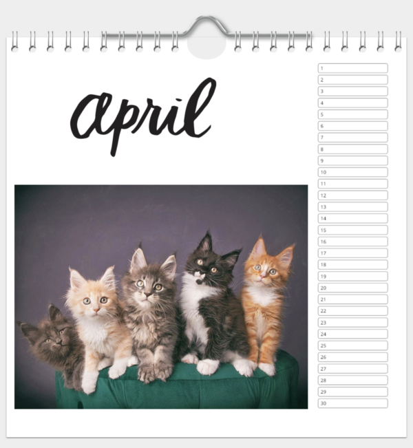 Kalender - Afbeelding 5