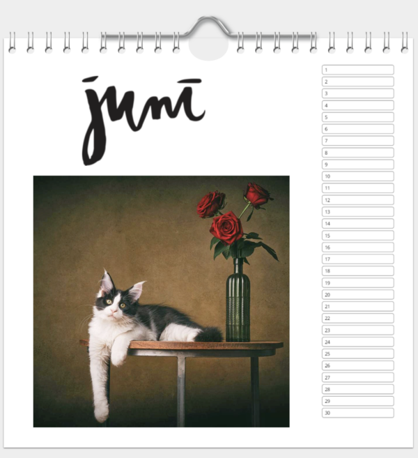 Kalender - Afbeelding 7