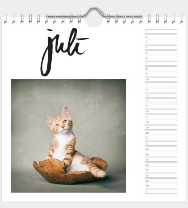Kalender - Afbeelding 8