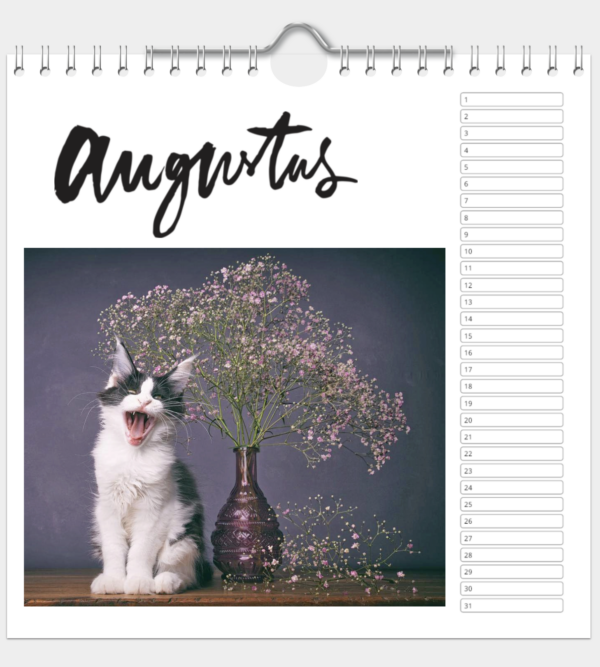Kalender - Afbeelding 9