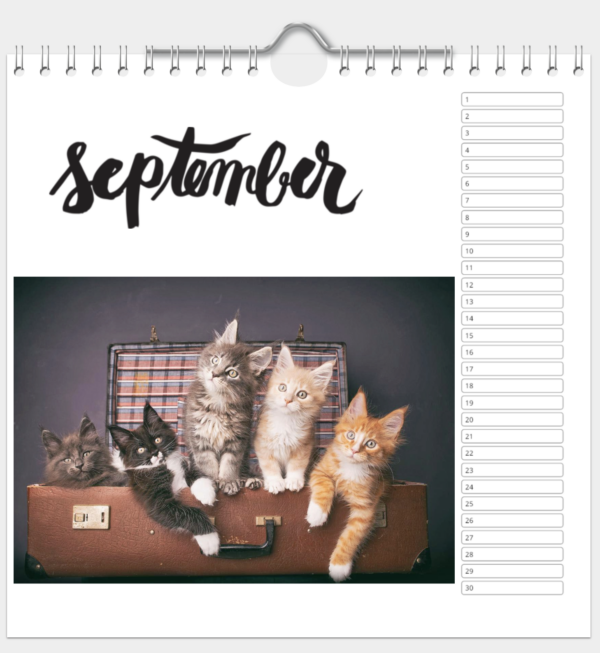 Kalender - Afbeelding 10