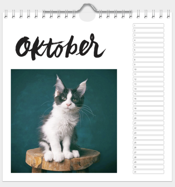 Kalender - Afbeelding 11
