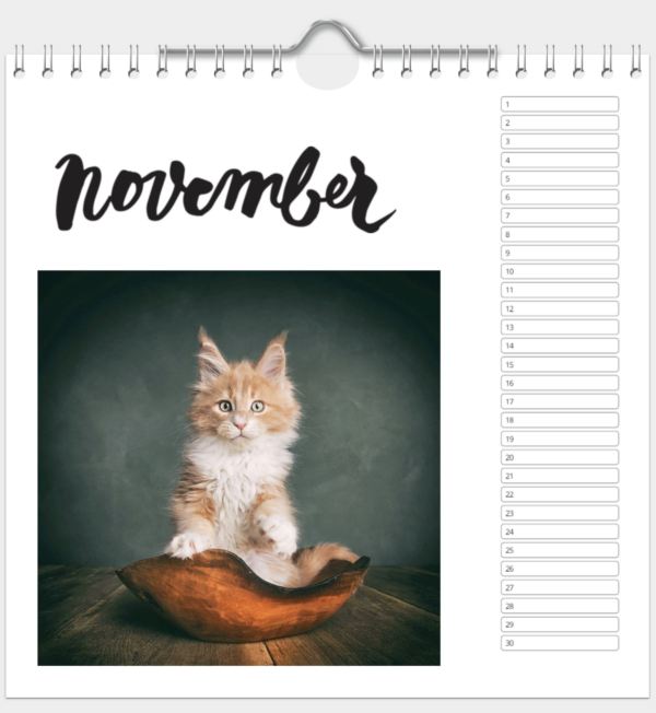 Kalender - Afbeelding 12