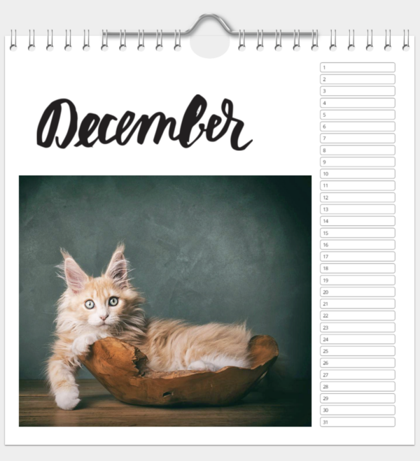Kalender - Afbeelding 13